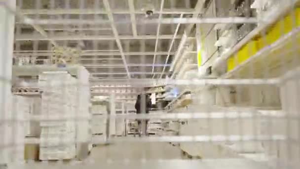 Winkelwagen Bewegen Rond Ikea Winkel Eerste Punt Uitzicht Pov Timelapse — Stockvideo