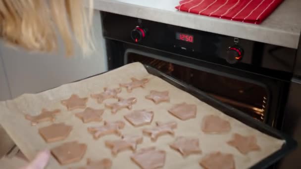 여자들은 겨울철을 쿠키를 준비하기 진저브레드 반죽을 쟁반을 놓는다 현대식 가전제품의 — 비디오