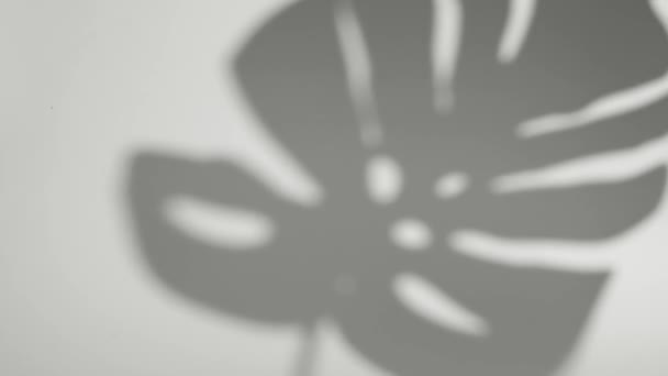 Abstracte Achtergrond Met Bewegende Tropische Palmbladeren Silhouet Muur Tropische Bladschaduw — Stockvideo