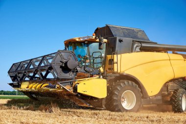 Altın buğday tarlasını hasat eden hasatçıyı tarım tarlasında hasat yapan hasatçıyı, hasat mevsimini.