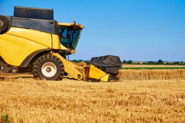 Altın buğday tarlasını hasat eden hasatçıyı tarım tarlasında hasat yapan hasatçıyı, hasat mevsimini.
