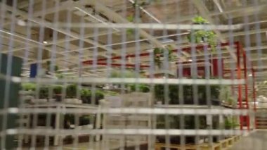 İlk bakışta IKEA mağazasının etrafında dolaşan alışveriş arabası. POV alıcısı IKEA süpermarket deposunda yürüyor. Wroclaw, Polonya - 5 Aralık 2022