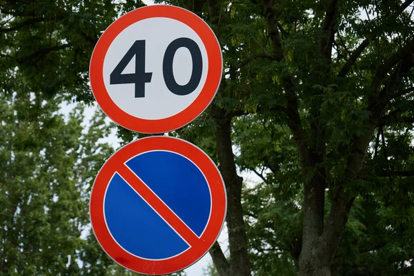 No parking and speed limit road signs against green trees in city at summer day.