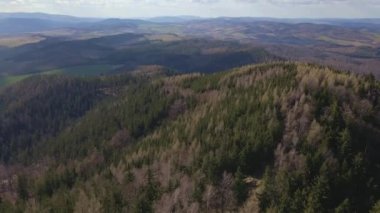 Hava kuşları, güneşli bir sonbahar gününde her yeri yemyeşil ormanlarla kaplı güzel dağlara bakar. Dağları ve vadileri olan doğa manzarası