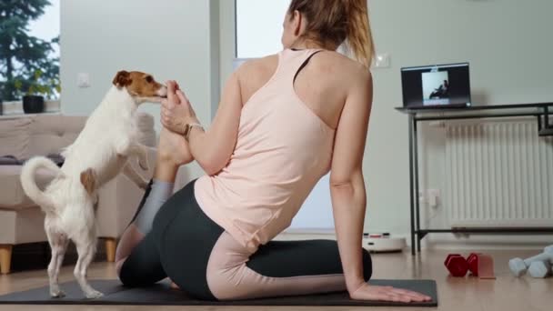 Woman Doing Sports Exercises Cute Dog Living Room Sport Training — 비디오