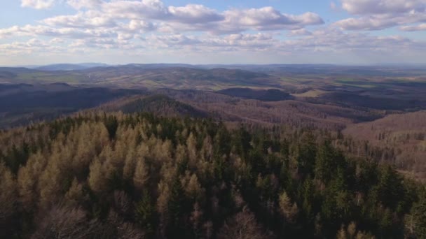 Widok Lotu Ptaka Piękne Góry Pokryte Wiecznie Zielonym Lasem Słoneczny — Wideo stockowe