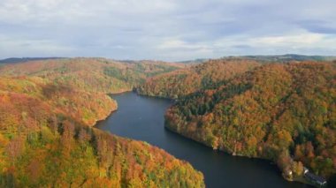 Orman ve nehirle kaplı dağlarla dolu muhteşem sonbahar manzarası. Sonbahar mevsiminde güzel doğa manzarası