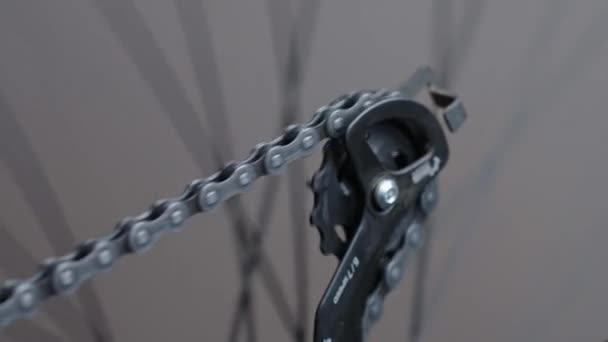 Chain Rotates Rear Gearshift Bike Bicycle Transmission Maintenance — Stockvideo