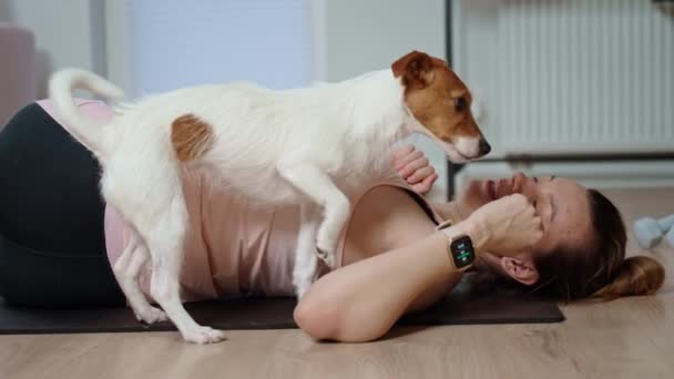 Woman Doing Sports Exercises Cute Dog Living Room Sport Training — Stockvideo