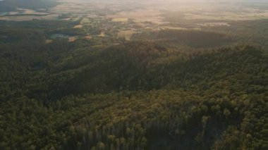 Drone flight over green trees forest in sunlight. Mountains landscape