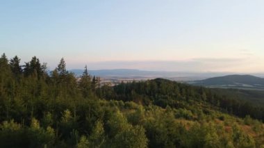 Drone flight over green trees forest in sunlight. Mountains landscape