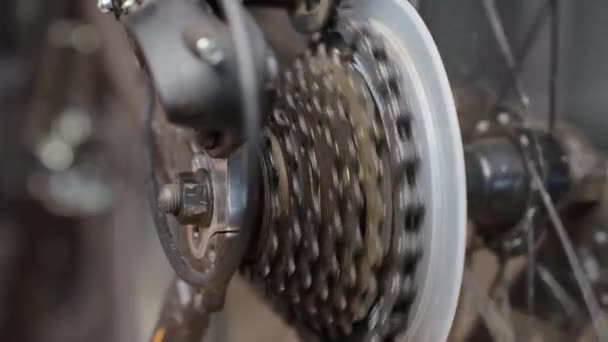 Process Shifting Gears Rear Transmission Bicycle Bicycle Gear Drivetrain Cassete — Stockvideo