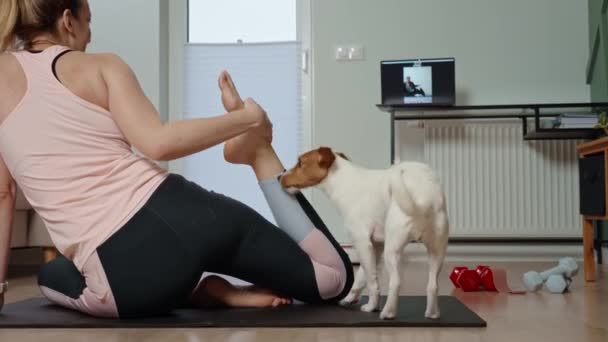 Woman Doing Sports Exercises Cute Dog Living Room Sport Training — стоковое видео
