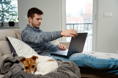 Man sitting on sofa in living room and using laptop, near lying dog. Freelancer working at home workplace. Remote work and work from home concept