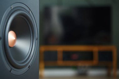Oturma odasının içinde hoparlör var. Müzik dinlemeye hazırız. Ses ekipmanları