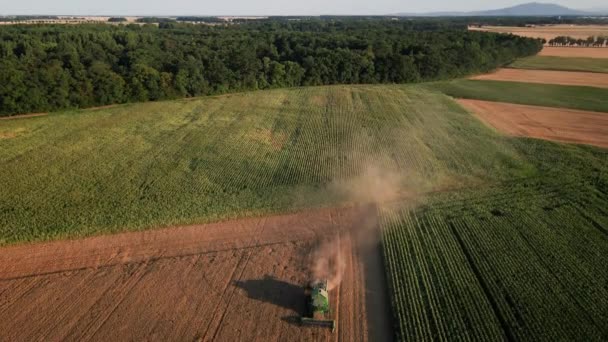 Saison Des Récoltes Récolte Combiner Travail Dans Domaine Agricole Vue — Video