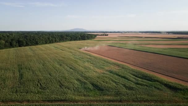 Betakarítási Időszak Betakarítás Egyesíti Mezőgazdasági Területen Végzett Munkát Légi Felvétel — Stock videók