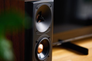 Oturma odasının içinde hoparlör var. Müzik dinlemeye hazırız. Ses ekipmanları