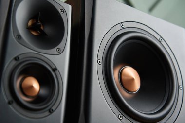 Oturma odasının içinde hoparlör var. Müzik dinlemeye hazırız. Ses ekipmanları