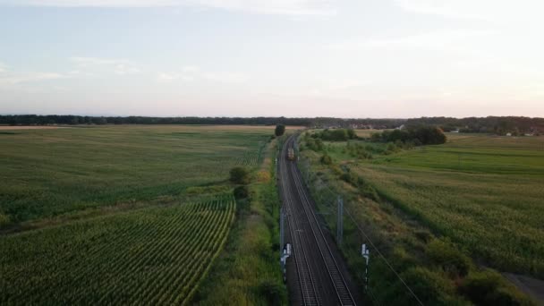 Luchtfoto Van Trein Die Spoorweg Rijdt Spoorweg Het Platteland Bij — Stockvideo