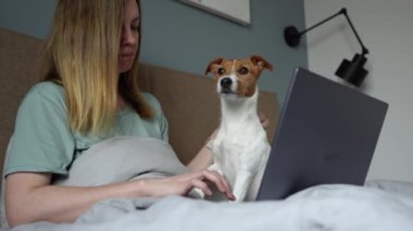 Kadın köpekle yatakta yatıyor ve çalışmak için dizüstü bilgisayar kullanıyor. Rahat bir iş yeri, evden çalışma..