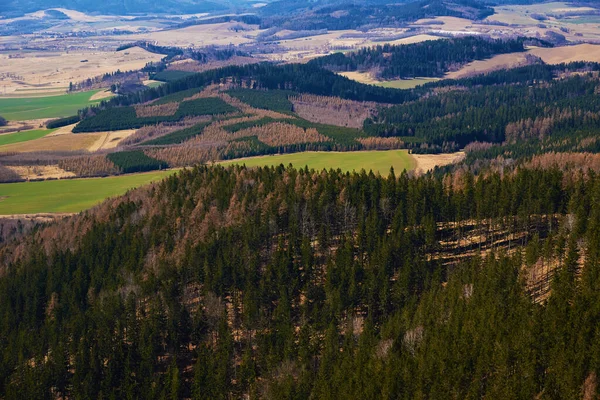 Krásné Hory Pokryté Věčně Zeleným Lesem Slunečného Dne Přírodní Krajina — Stock fotografie