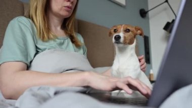 Kadın köpekle yatakta yatıyor ve çalışmak için dizüstü bilgisayar kullanıyor. Rahat bir iş yeri, evden çalışma..