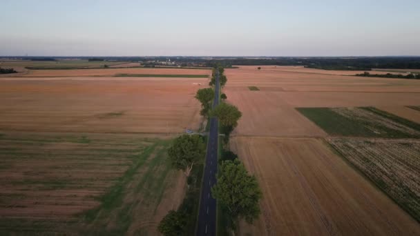 Üres Aszfalt Országút Naplementekor Mezőgazdasági Területek Közötti Közúti Forgalom Légi — Stock videók