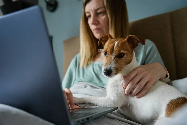 Woman lying in bed with dog and use laptop for working. Comfortable workplace, work from home. Spending time with pets