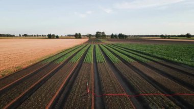 Organik sebzelerle, bitkilerle ve sulama sistemiyle tarımsal alanın havadan görünüşü