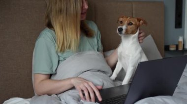 Sabahları tatlı köpekli bir kadın yatakta dinleniyor ve dizüstü bilgisayar kullanıyor. Serbest çalışan biri için evden rahat bir iş. Birlikte vakit geçirmek, evcil hayvan sevgisi.
