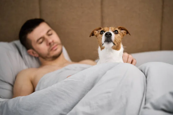 Man with dog sleeping on bed. Pet affection. Lazy morning with pet