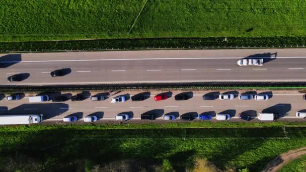 Trafikstockning Motorväg Polen Grund Olycka Bilar Och Lastbilar Stannade Motorvägen — Stockvideo