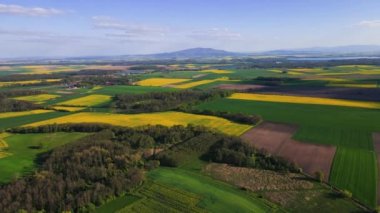 Baharda renkli tarım alanları. Çiçek açan kolza tohumu tarlaları, yeşil çayırlar, hava manzarası. Doğal arkaplan