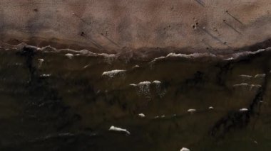 Deniz dalgalı kumsal, manzaralı. Baltık denizi ve kumsal manzaralı güzel kıyı şeridi.