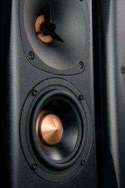 Multimedya akustik ses hoparlörü. Koyu arkaplanda ses sistemi