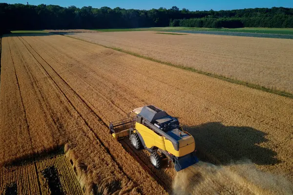Sklizňový Stroj Pracující Zemědělském Poli Kombinovat Kombajn Sbírající Zlaté Pšeničné — Stock fotografie