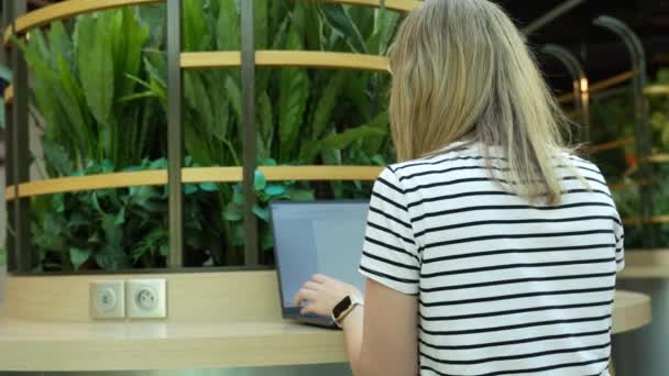 Femme Utilisant Ordinateur Portable Coworking Avec Des Plantes Vertes Femme — Video