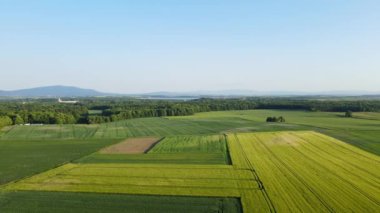 Yeşil tarlaları, ormanı ve arka planda büyük dağı olan kırsal alan, hava manzarası