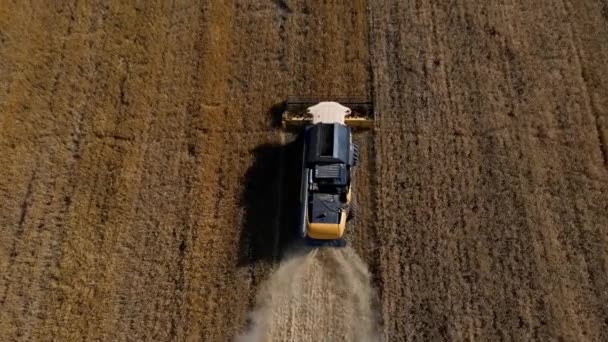 Maskiner För Skörd Jordbruksmark Kombinera Skördare Samla Gyllene Vetefält Skördesäsong — Stockvideo
