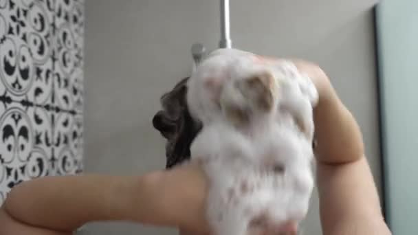 Rückansicht Einer Nackten Frau Unter Der Dusche Der Duschkabine Frau — Stockvideo