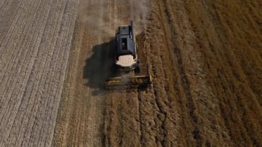 Tarım alanında çalışan bir hasat makinesi. Hasat makinası altın buğday tarlası topluyor. Hasat mevsimi