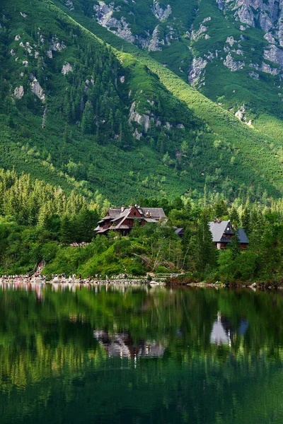 Fichtenwald Der Nähe Eines Blauen Sees Den Bergen Tatra Nationalpark — Stockfoto