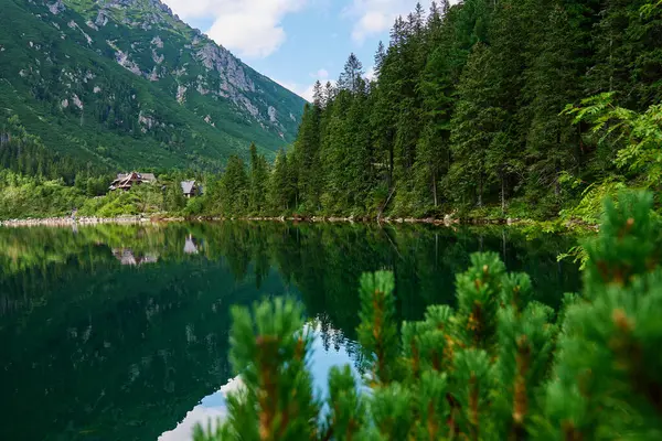 Fichtenwald Der Nähe Eines Blauen Sees Den Bergen Tatra Nationalpark — Stockfoto