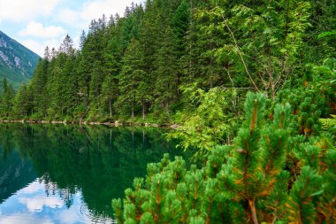 Dağlardaki mavi gölün yakınındaki ladin ormanı. Polonya 'daki Tatra Ulusal Parkı. Beş Göl Vadisi 'ndeki Morskie Oko ya da Sea Eye Gölü' nün panoramik manzarası. Doğa manzarası