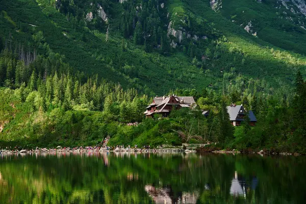 Blick Auf Hütte Den Bergen Mit Grünem Wald Haus Für — Stockfoto