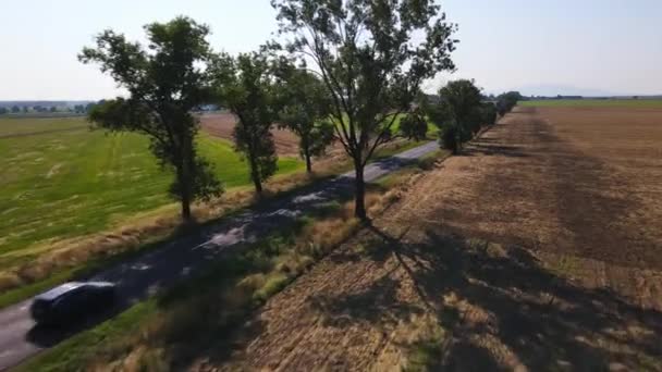 Camino Campo Cerca Campos Agrícolas Vista Aérea Ruta Del Asfalto — Vídeos de Stock