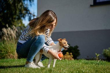 Aktif köpek yaz günü yeşil çimlerde oyuncak topuyla oynuyor. Kadın sahibi evcil hayvanla yürüyor. Hayvan bakımı