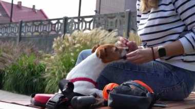 Kadın ve köpek dışarıda vakit geçirir, köpek yer. Evcil hayvan sahibi ile dışarıda yürürken ikramda bulunuyor. İnsanlar ve köpek dostluğu