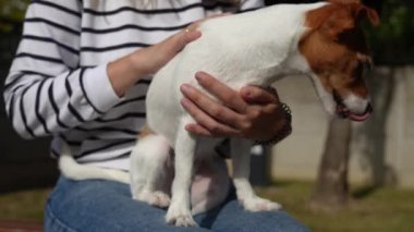 Kadın köpeği okşuyor. Kadın sahibi evcil hayvanla dışarıda vakit geçiriyor. Hayvanlar ve insanlar arasındaki arkadaşlık..